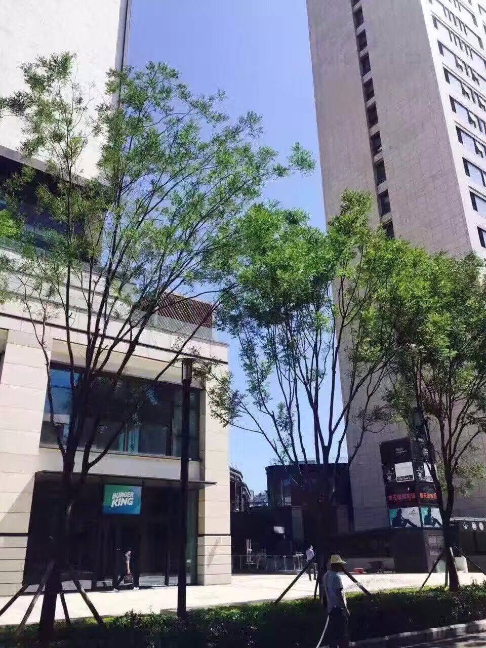 北京丰台区石榴中心写字楼间出租中心 北京丰台区石榴中心写字楼间出租中心